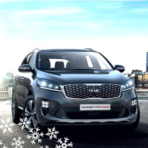 Kia Sorento Prime Sim2k-25x UMAHNC4EMA5A ST1 E2